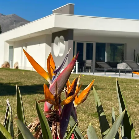 Nanni Contemporary, Pool And Garden *